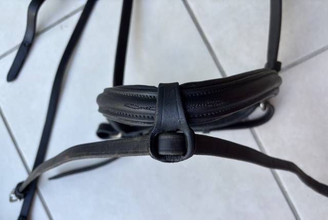 Bridon Antares taille 1