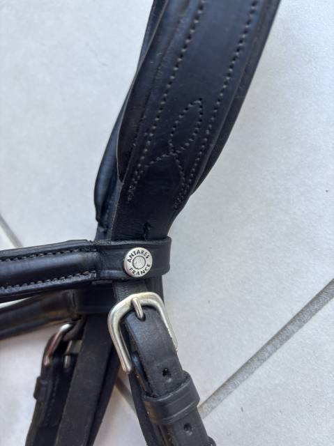 Bridon Antares taille 1