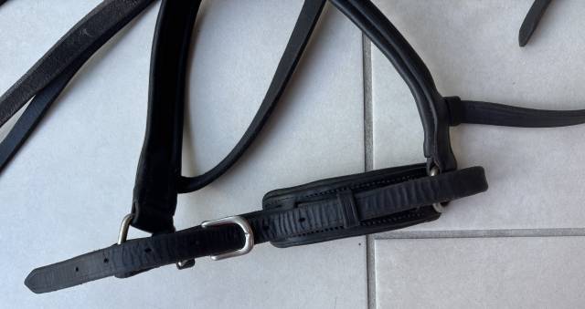 Bridon Antares taille 1