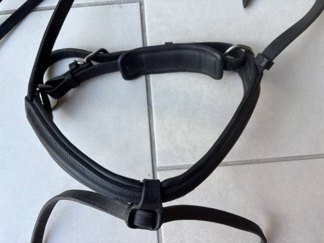 Bridon Antares taille 1