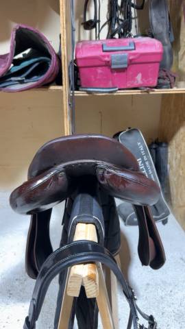 Selle Antares connexion