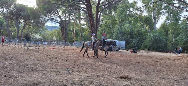 Jument konik polski exceptionnelle