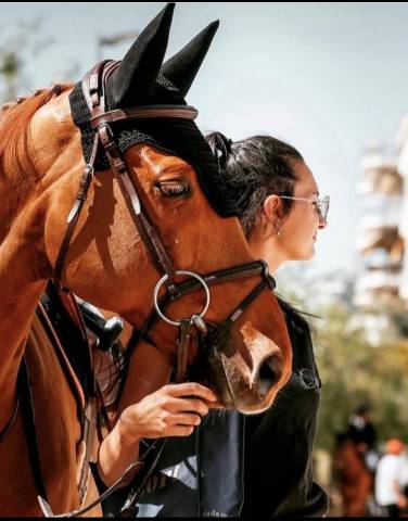 Palefrenier soigneur cavalier ecurie privé