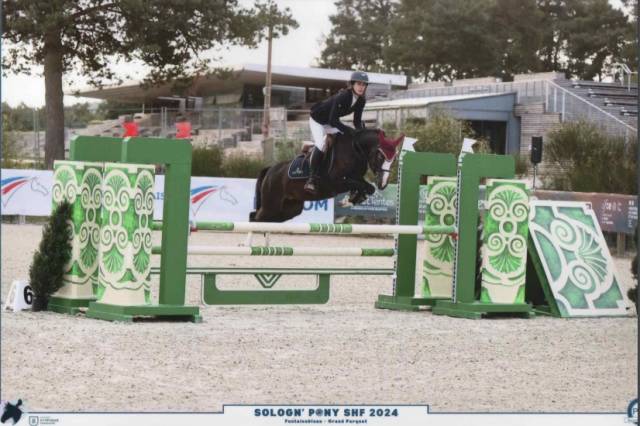 Debourage travail poneys chevaux