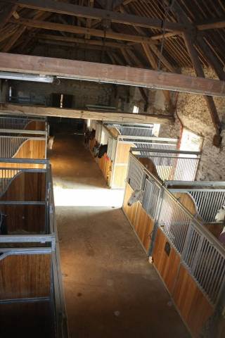 Apprentissage palefrenier-soigneur 