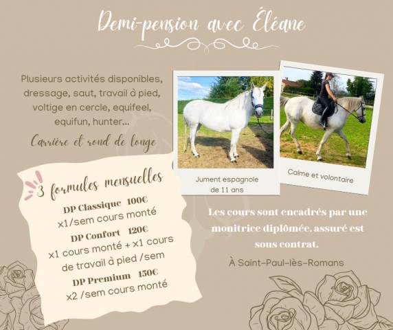 Demi pension cheval espagnol