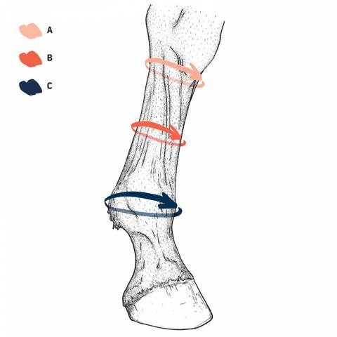 Chaussettes de compression EQUI Compress - Stubben