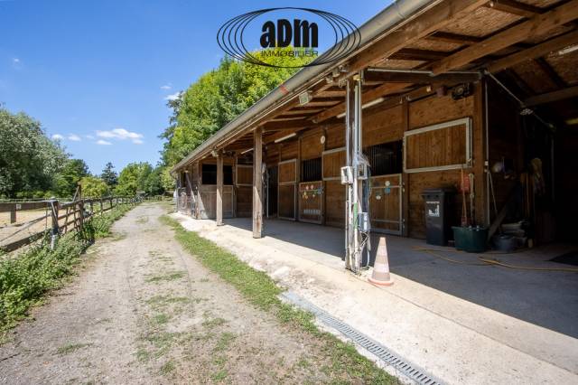 Moulin avec écurie et îles privées sur la morin