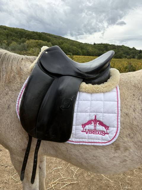 Selle de dressage Forestier Carlos Pinto 16,5" cuir noi