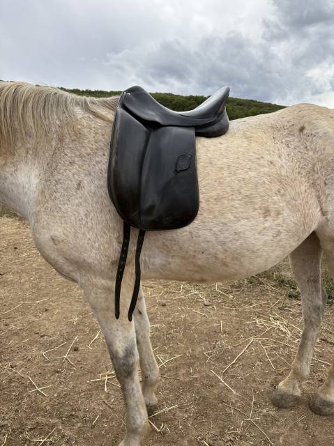 Selle de dressage Forestier Carlos Pinto 16,5" cuir noi