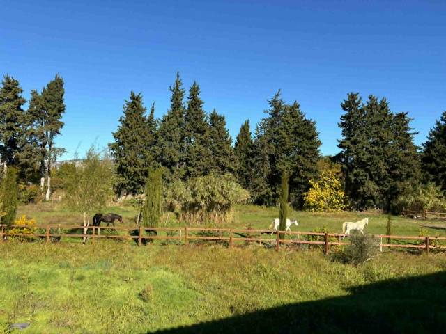 A louer :apt 60m2 t 3 avec 3,5 hectares pour chevaux