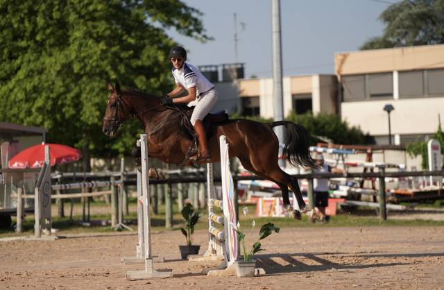 Jument sf 8 ans : cce & hunter 