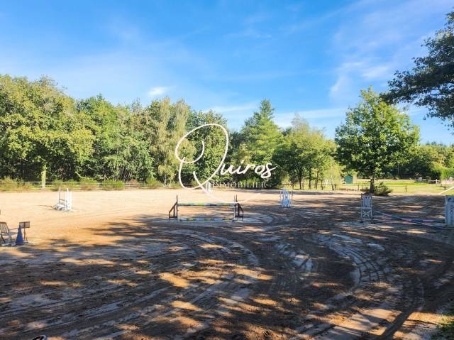 Domaine équestre complet 17 ha proche lamotte-beuvron