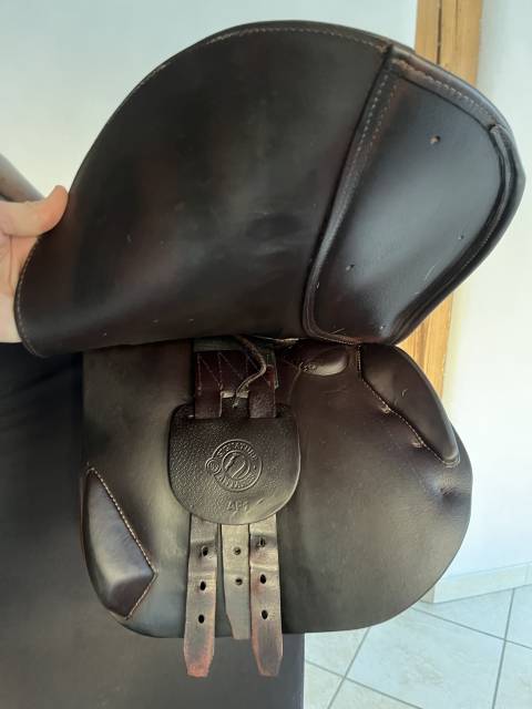 Selle Antares Signature 17,5 ‘ de 2021