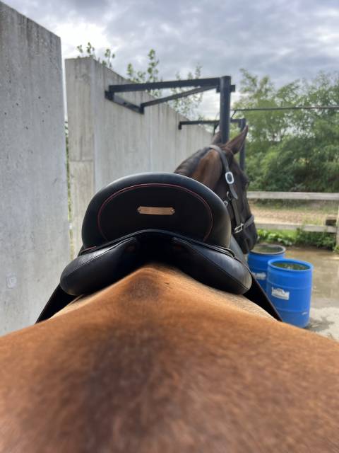 selle de dressage Devoucoux 