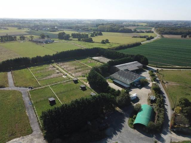 Pension_paddock (35)