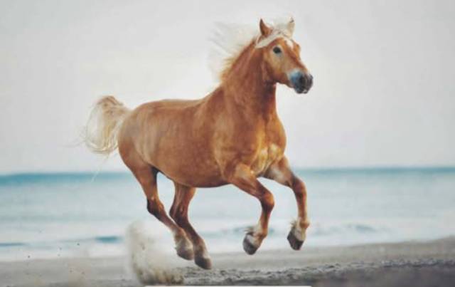 Propose dp dans le 17