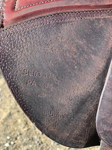 Selle Cwd demoiselle 