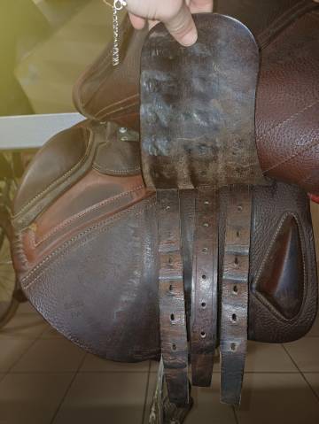 Selle Cwd demoiselle 