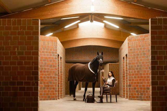 Chemise polaire Cooler - HKM - Respirante et douce