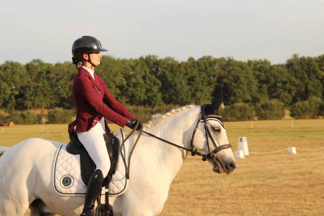 Recherche demi-pension pour poney de sport connemara