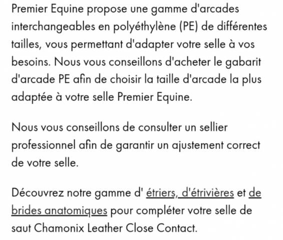 Selle Chamonix premiere equine cuir neuve 17 