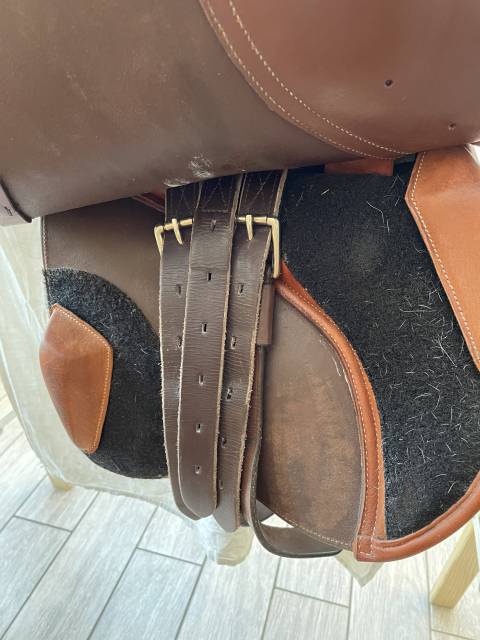 Selle mixte Éric Thomas Fitter 16,5” – Bon état