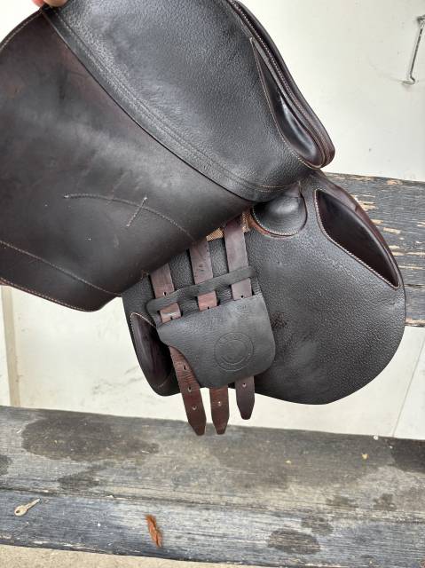 Selle d’Obstacle Arion 2023 18 pouces