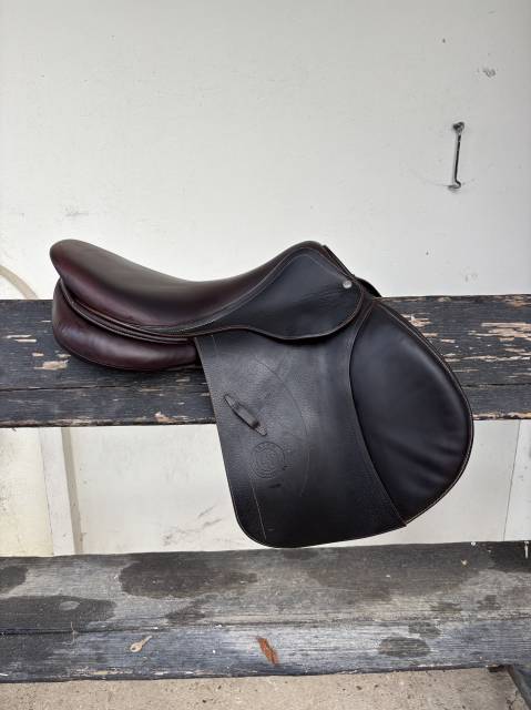 Selle d’Obstacle Arion 2023 18 pouces