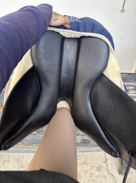 Selle de Dressage Arion 2023 18 pouces