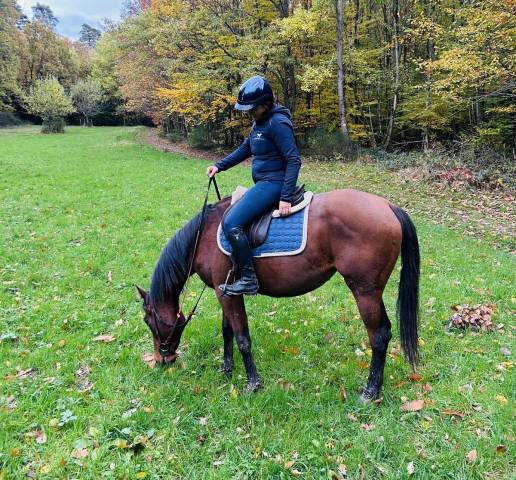 Adorable jument n'ayant jamais couru - facile