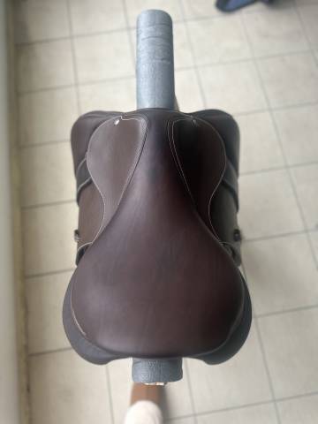 Selle forestier Seoul 18 4A Chataigne Veau / Grainé 
