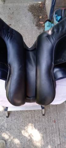 Ludomar "Lud" - Selle de Dressage