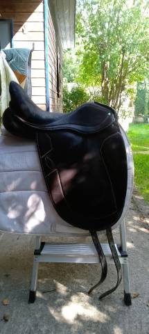Ludomar "Lud" - Selle de Dressage