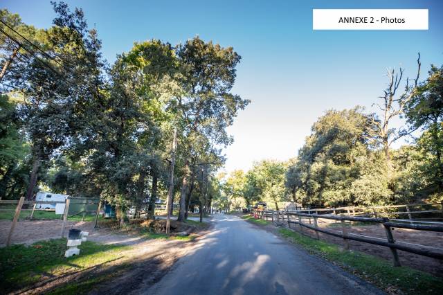 Vente centre equestre de royan