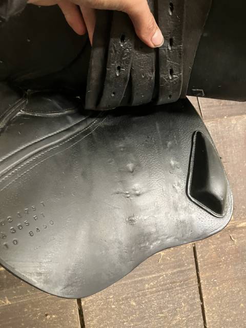 Selle d’obstacle CWD SE02