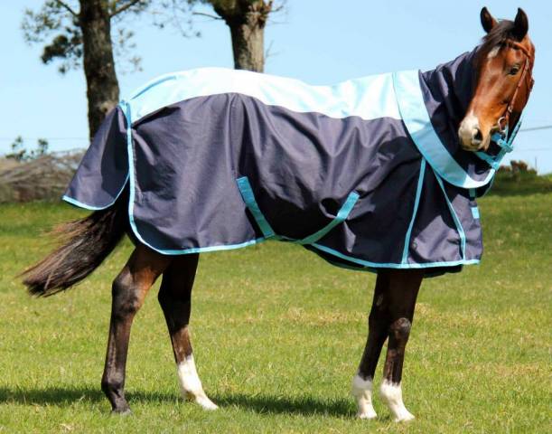 Imperial Equestrian Supplies 