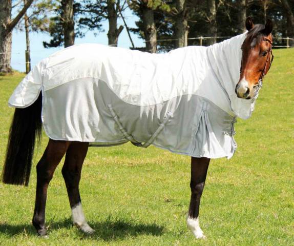 Imperial Equestrian Supplies 