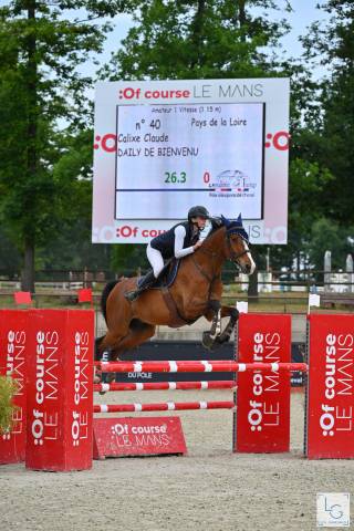 Sf par chef rouge x negus de talma