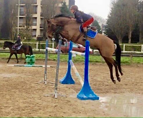 Toulouse de la vallée 