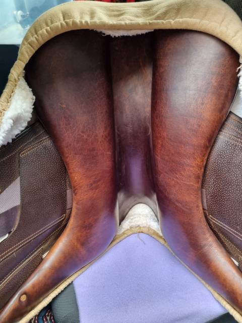 Selle de dressage 