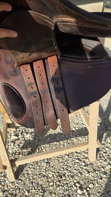 Selle GBS obstacle 17,5"