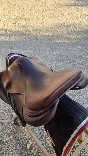 Selle GBS obstacle 17,5"