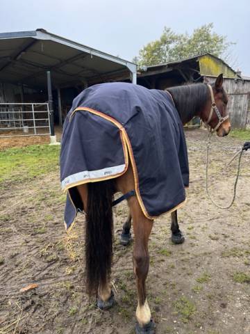 Couverture amigo bleu nuit taille 145 250gr