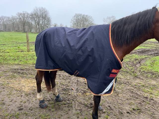 Couverture amigo bleu nuit taille 145 250gr