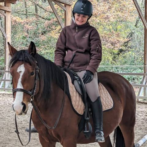 Poney pfs à confier