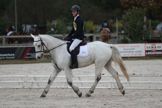 Propose poney d à la location