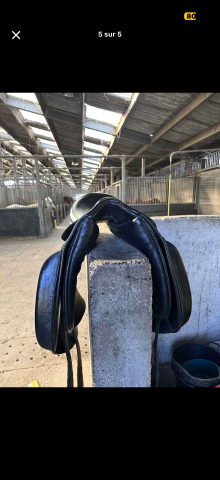 Selle de dressage Barnes 