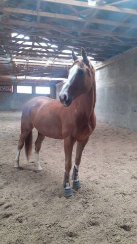 Sf, 11 ans, cso <20 000