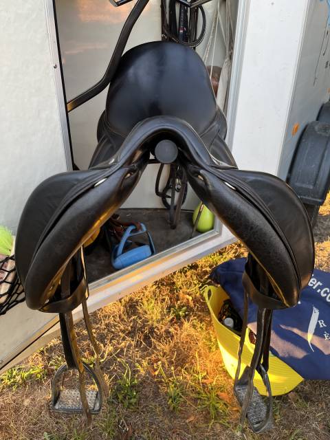 Antares dressage cadence 